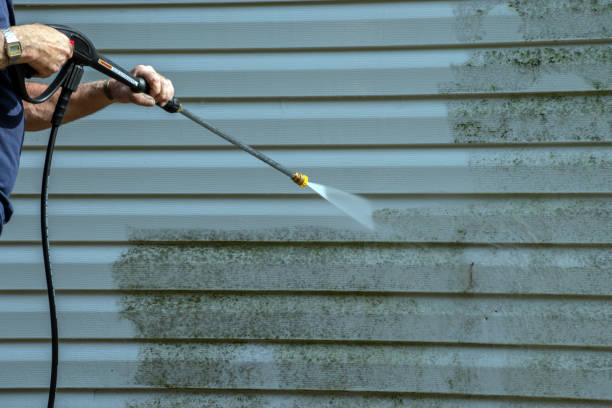 Best Sidewalk and Walkway Cleaning  in Idalou, TX